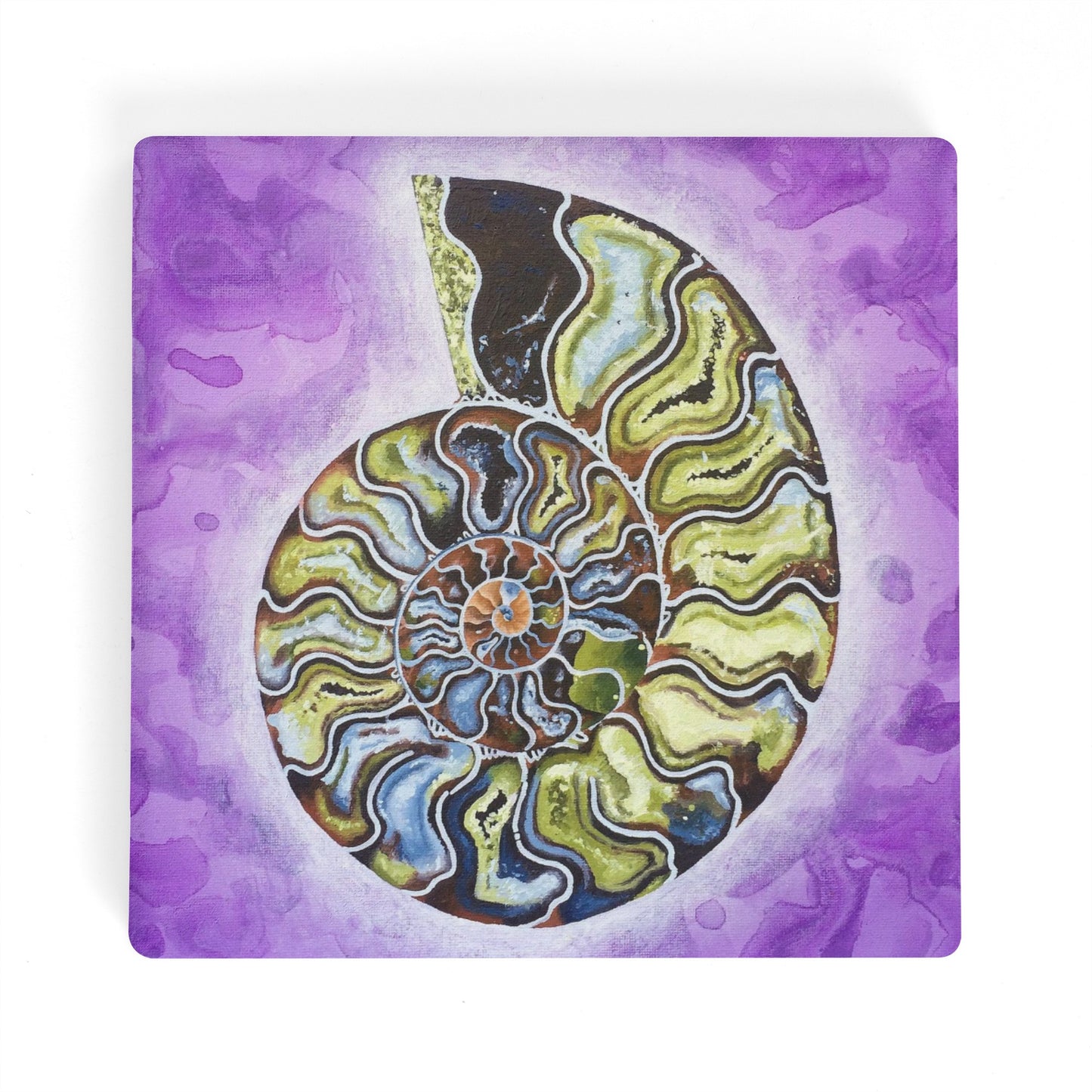 Ammonite Ceramic Coasters (set of 4)