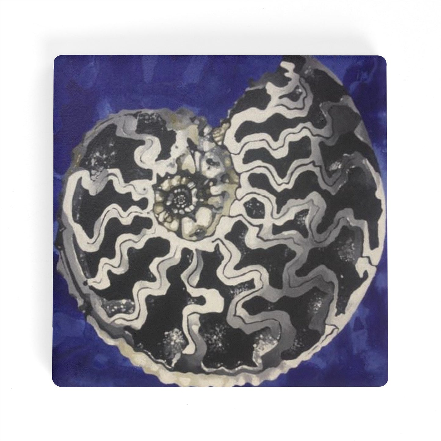 Pyritized Ammonite Ceramic Coasters (set of 4)
